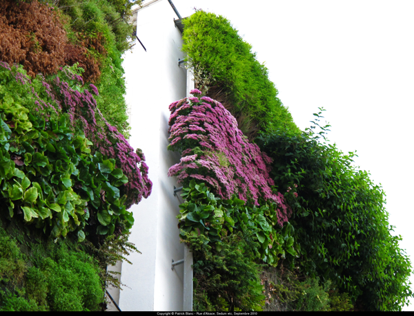 3 rue dalsace paris vertical greenings cities blog hoerrschaudt