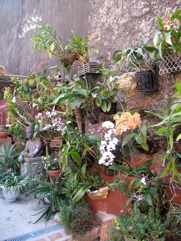 4 vertical garden outdoor rooms in san juan blog hoerrschaudt