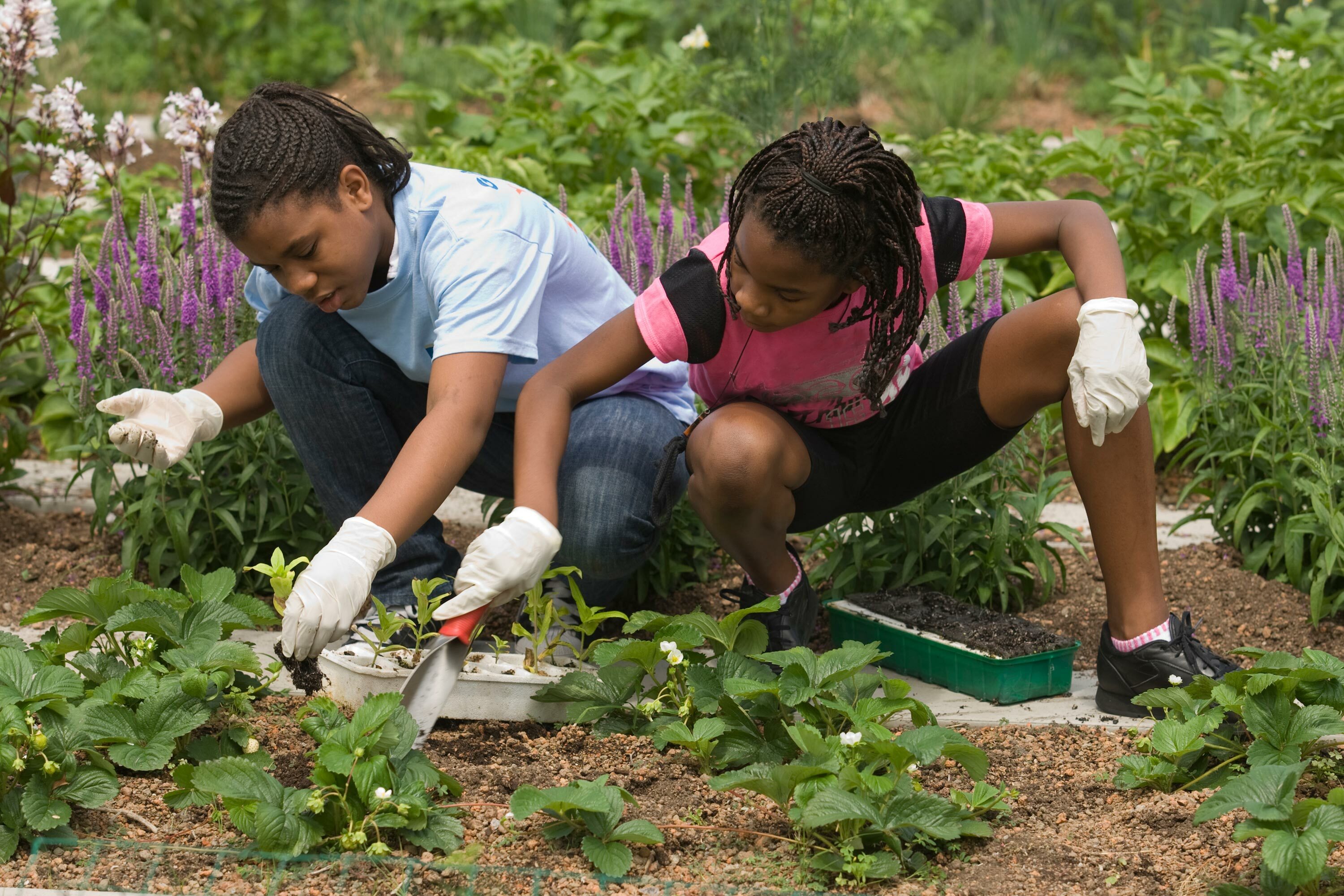 6 children digging dirt plants gary comer youth center hoerrschaudt