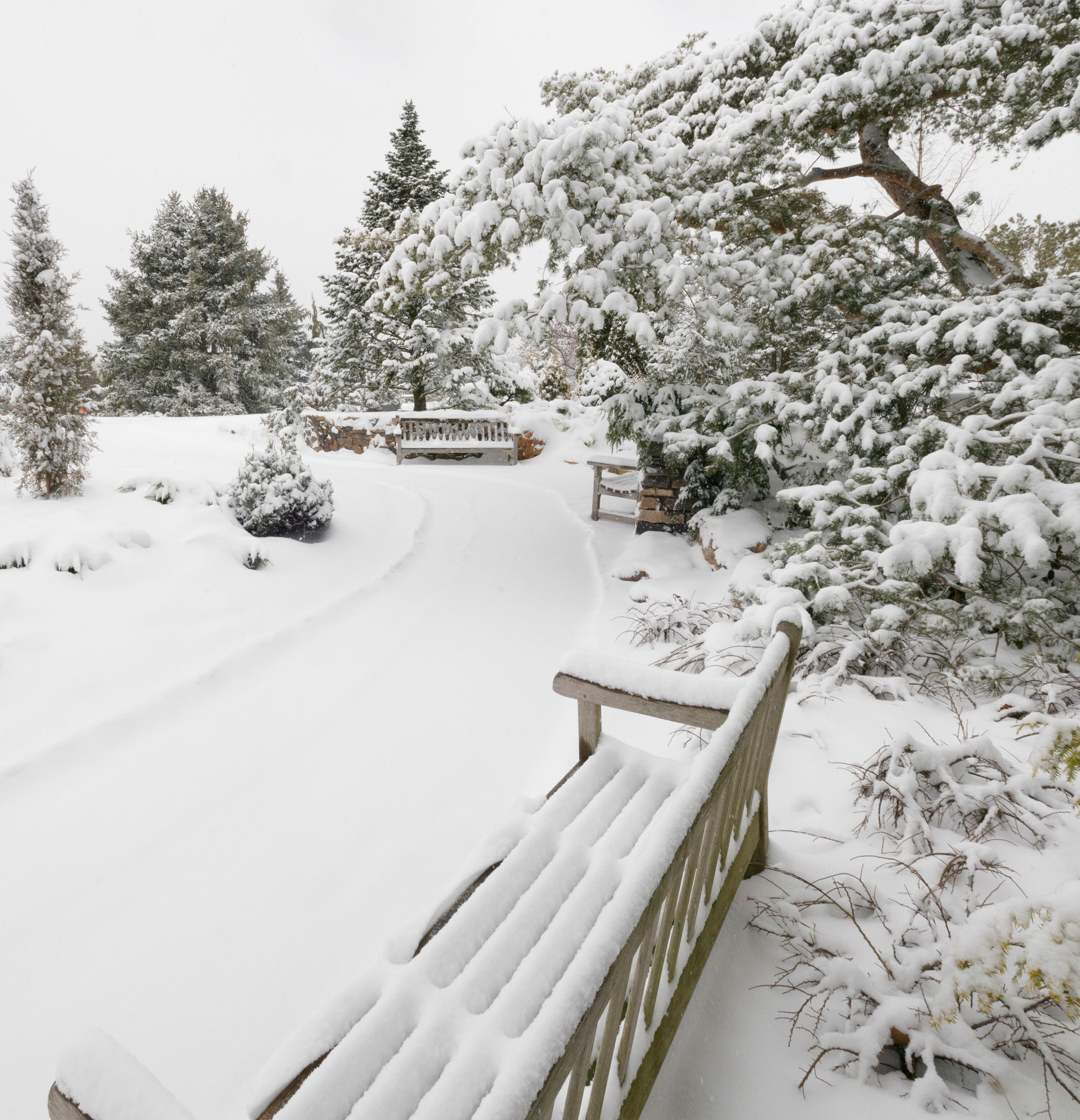 7 bench winter snow cbg dwarf conifer garden hoerrschaudt