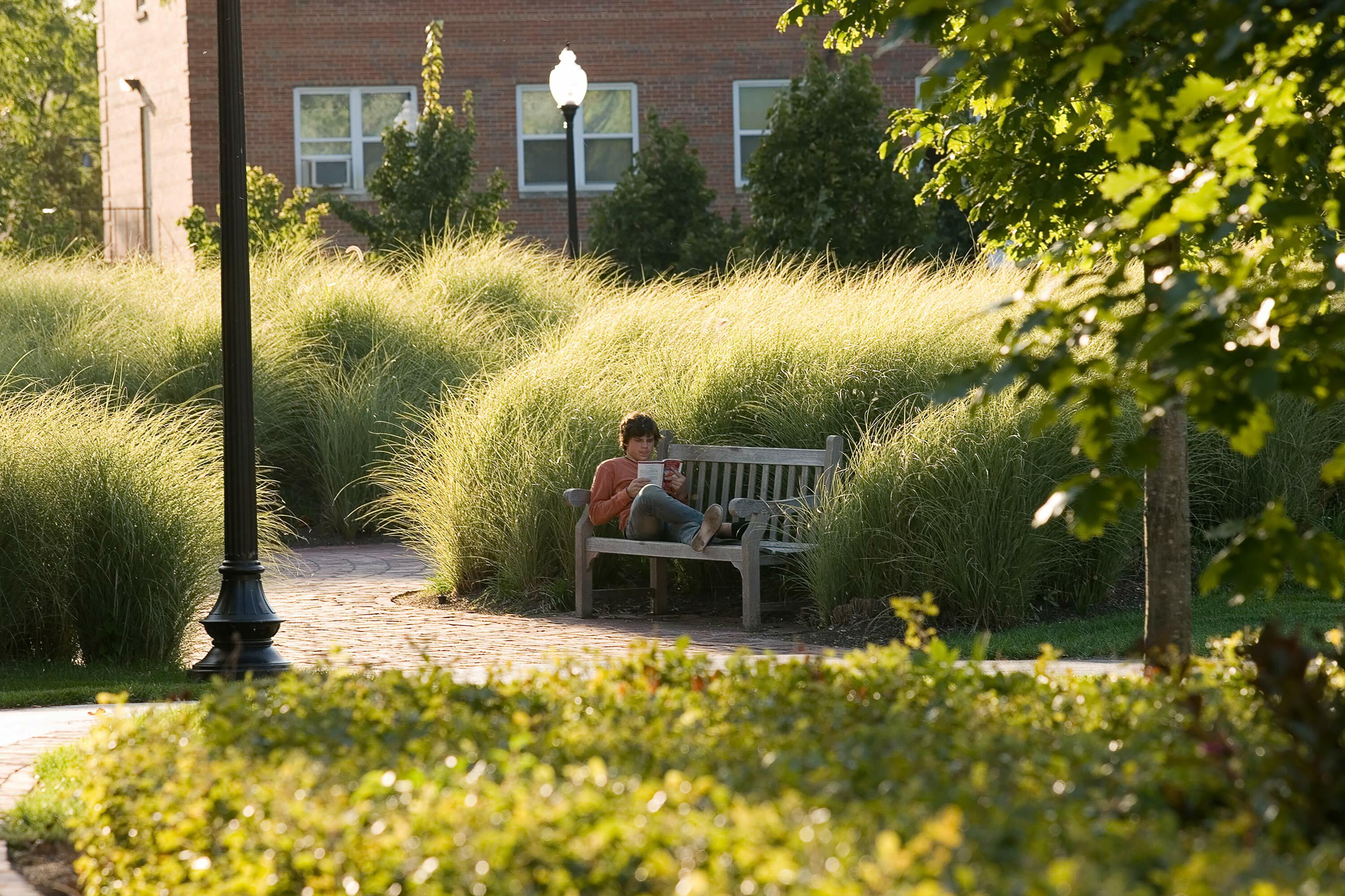 1 man reading grass north park university hoerrschaudt